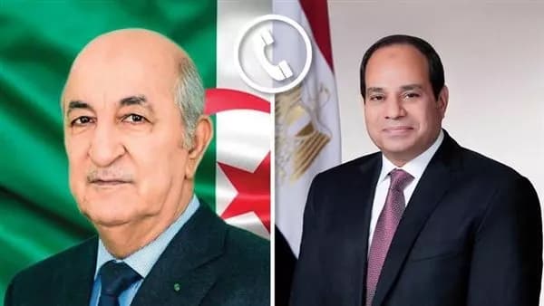 President Sisi pledges support to Algeria over fires