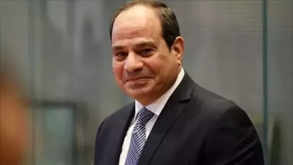 Sisi approves law changes on financial fee