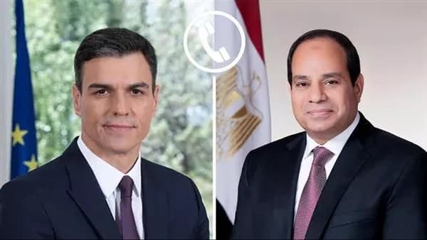 President Sisi: Investigations Underway on Damietta Port Incident