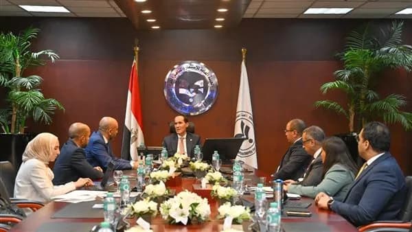 Investment Authority reviews Egypt expansion with DP World