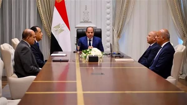 President Sisi orders rapid green transit completion