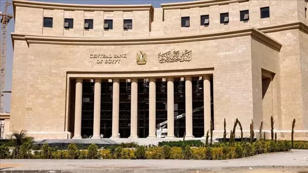 Egypt Central Bank Launches New Financial Portal