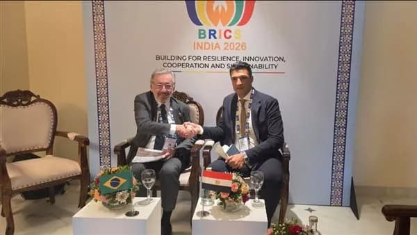 Egypt seeks Brazilian investments across 11 sectors