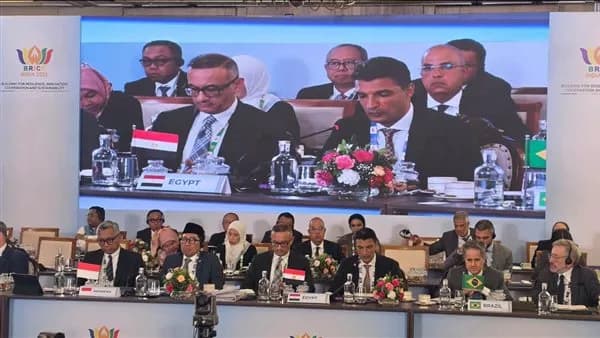 مصر تساهم في خطة تعاون البريكس في الطاقة الكهروضوئية