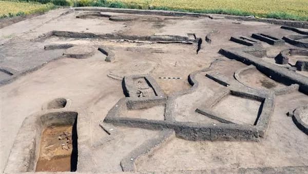 اكتشاف أثري في الدقهلية يبرز تاريخ الاستيطان