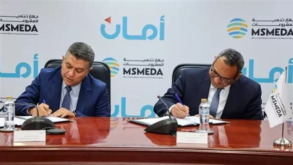 Micro and SME Agency signs 250M EGP deal with Aman