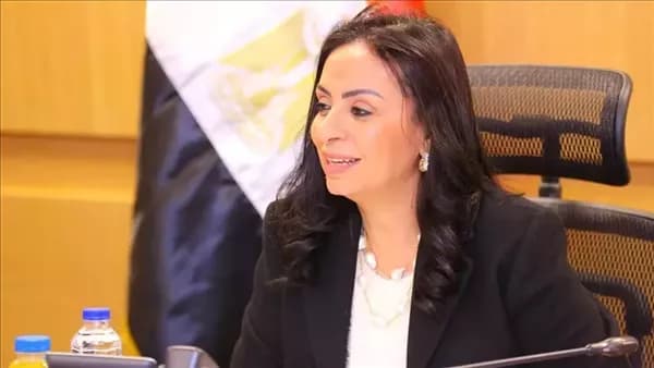 Ministry of Social Solidarity clears 7 properties