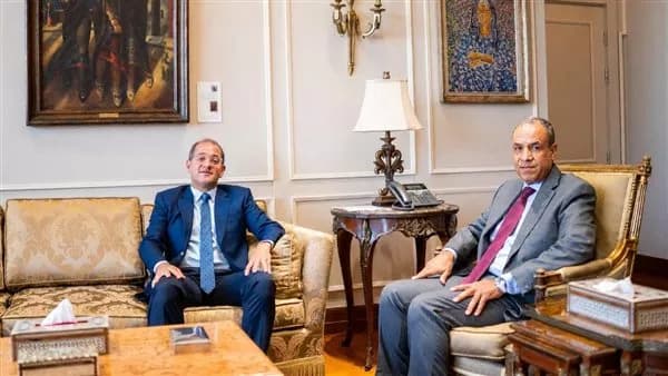 وزيرا الخارجية والمالية يناقشان دعم مصر الاقتصادي