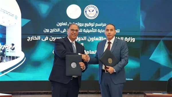 Egyptians abroad have obtained 37,000 insurance policies since August