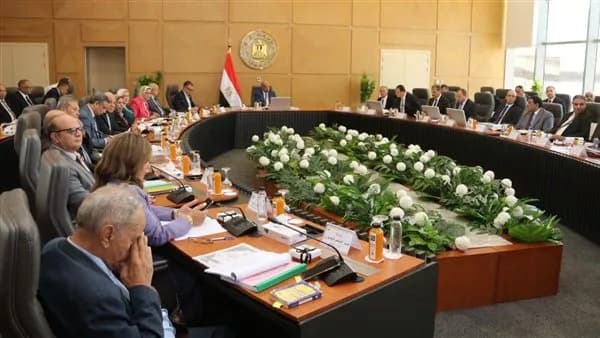 Egyptian Electricity Company to invest 37bn pounds in 2026-27