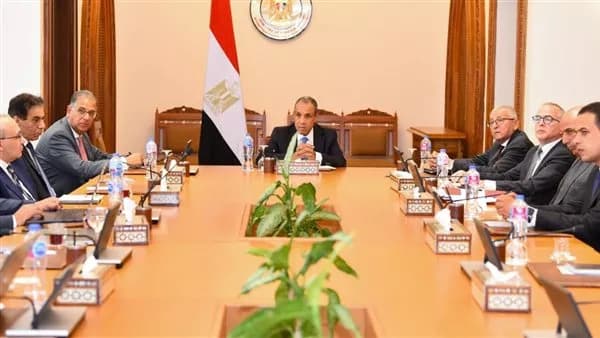 وزير الخارجية يراجع تحديثات منصة الخدمات للمصريين
