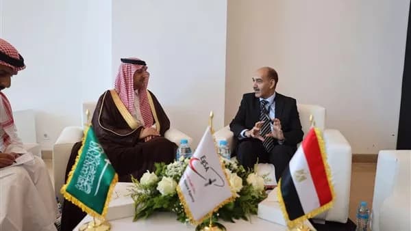 مصر والسعودية يدرسان قمرهما الصناعي المشترك