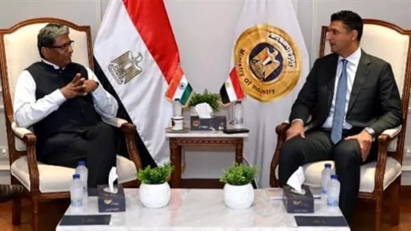 Egypt and India look into private sector ties
