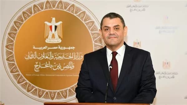 Nader Zaki new Foreign Ministry spokesman