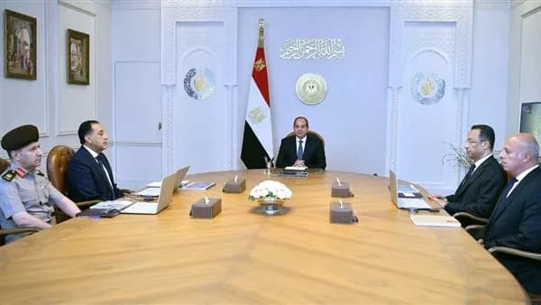 السيسي يوجه لتوسيع استخدام الذكاء الاصطناعي