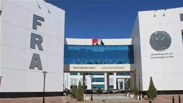 Egyptian Union Statute Amendment