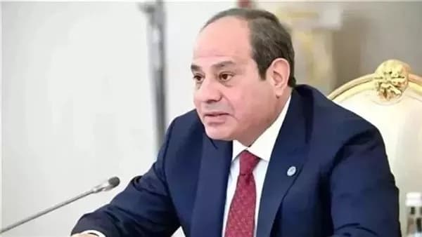 Sisi approves new government appointments