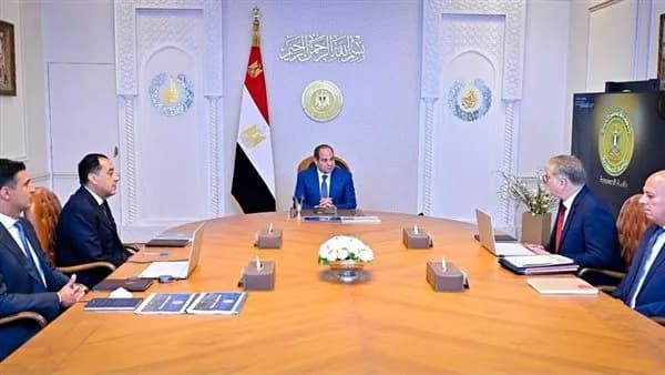 President Sisi orders vacant industrial land removal