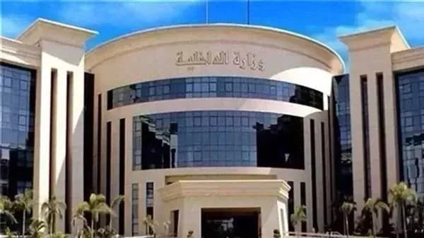 الداخلية تمنح 84 مصريًا جنسيات أجنبية