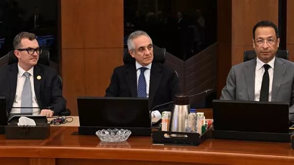 Council approves Ernst & Young Egypt contract