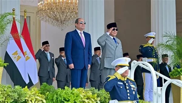 Egypt and Indonesia to form joint manufacturing projects