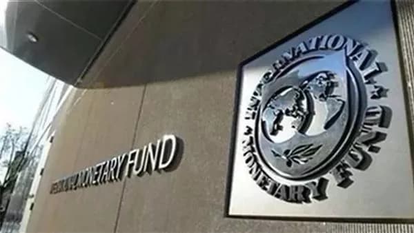 IMF raises Egypt pound forecast