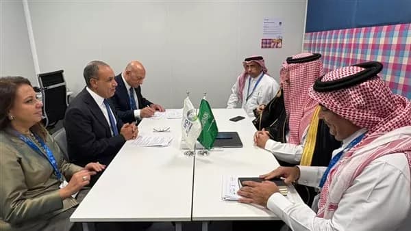 FM explores cooperation with Saudi Fund