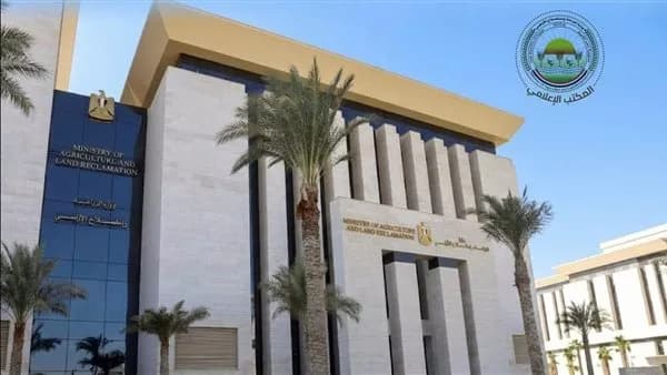 الزراعة: انتهاء حصاد 60% من الأرز