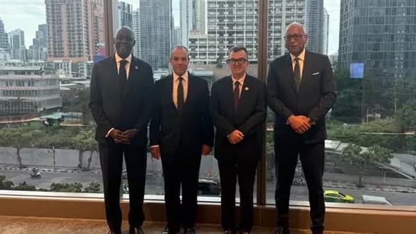 Foreign Minister on IFC investments in Egypt