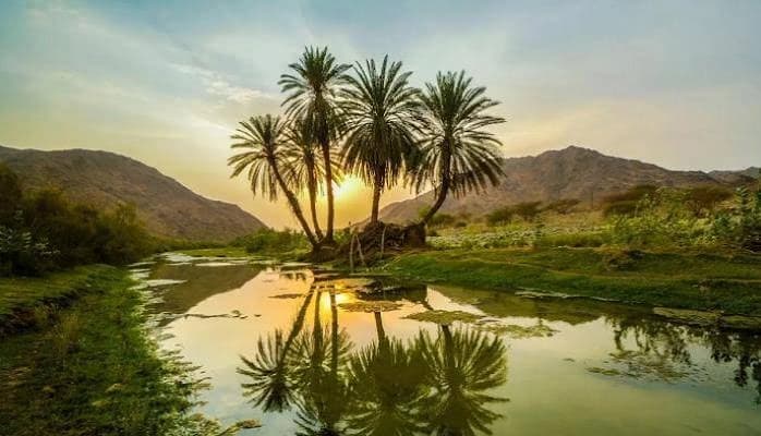Kingdom highlights rangeland sustainability at Arab Forum