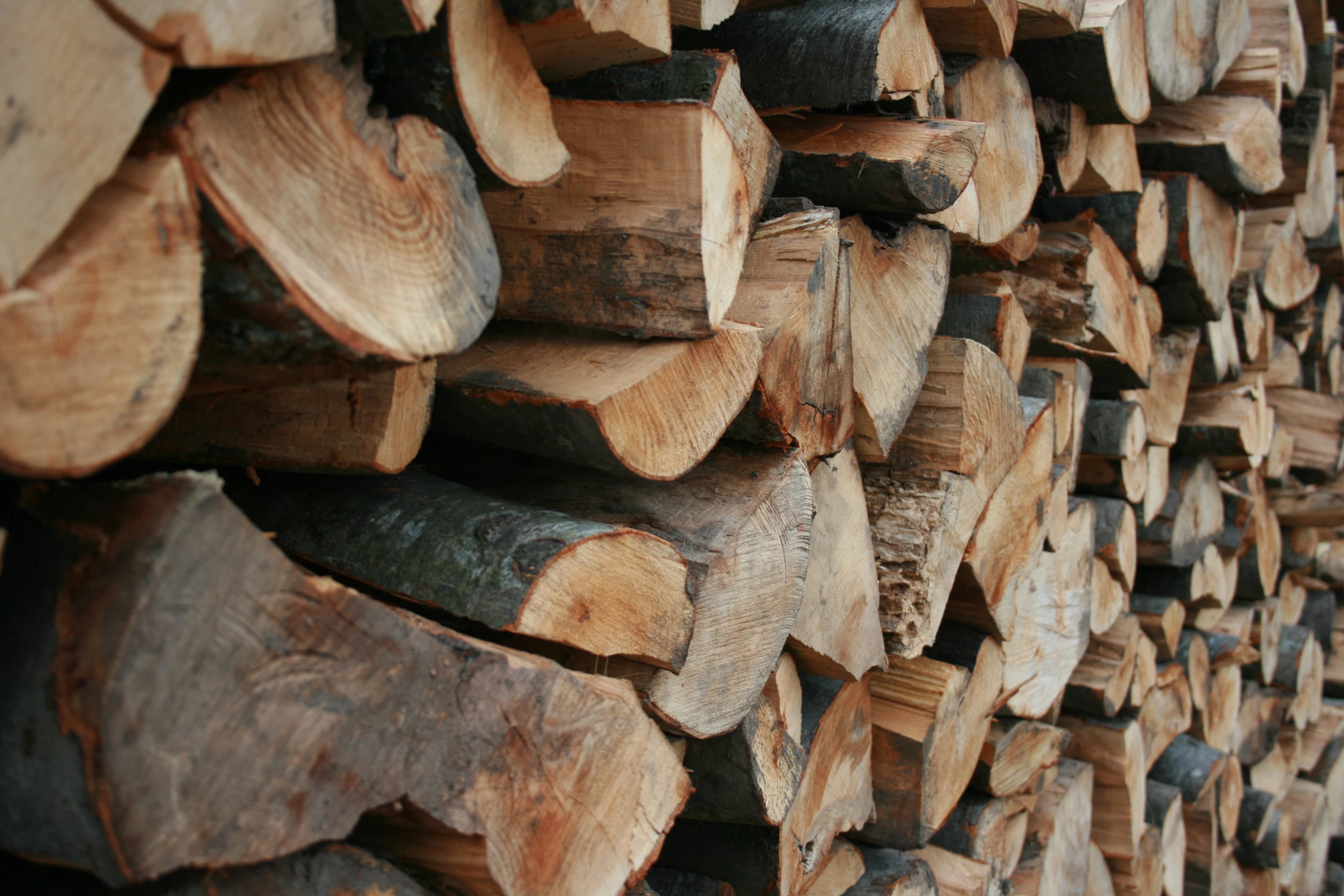 Citizen apprehended transporting firewood in Asir