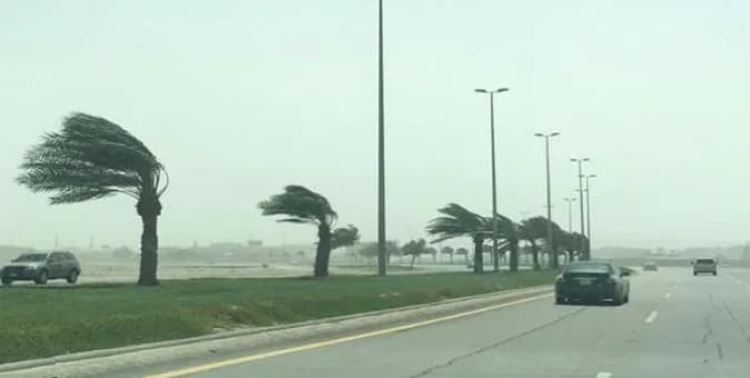 رياح قوية تمطر على تبوك حتى السابعة