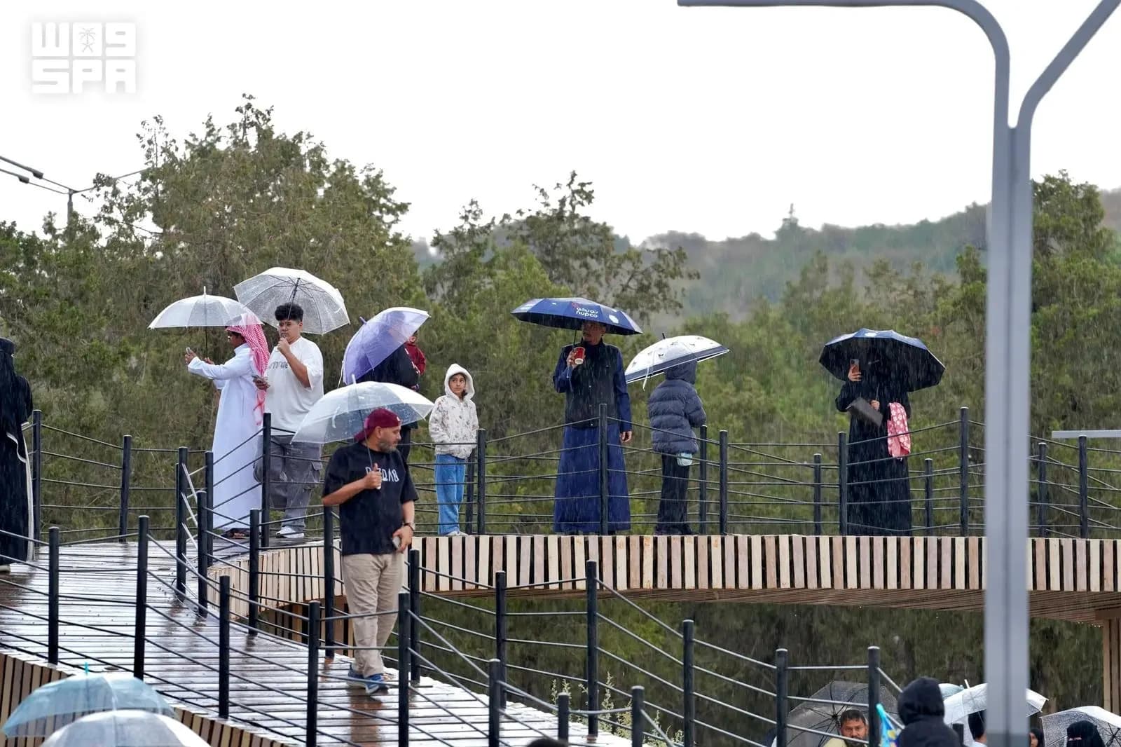 Raindrops Encourage Outdoor Activities in Al Bahah