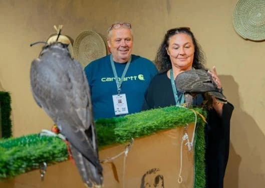 Scottish Family Turns Falcon Passion into Business