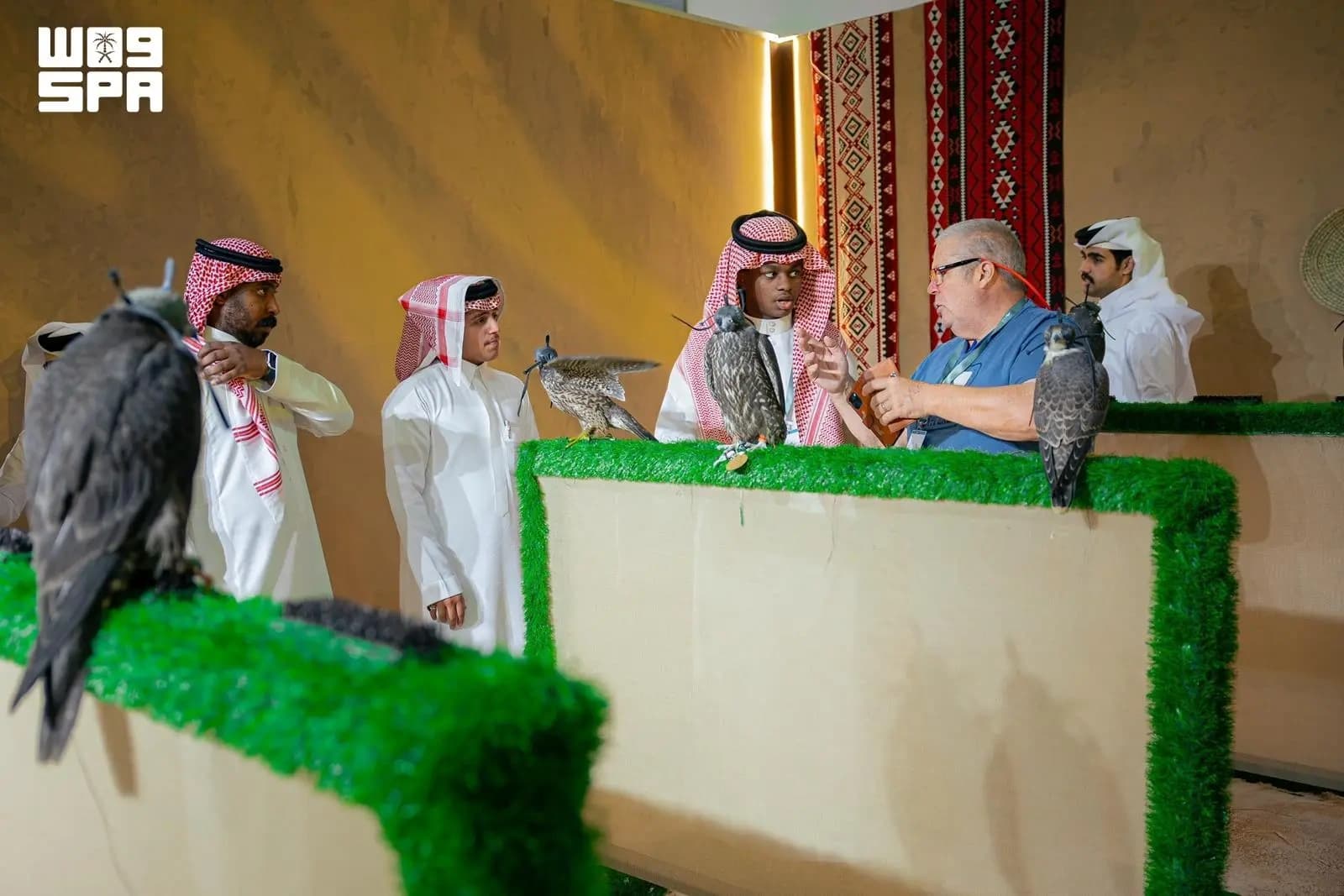 British Falconer on Falcon Selection and Auction Standards