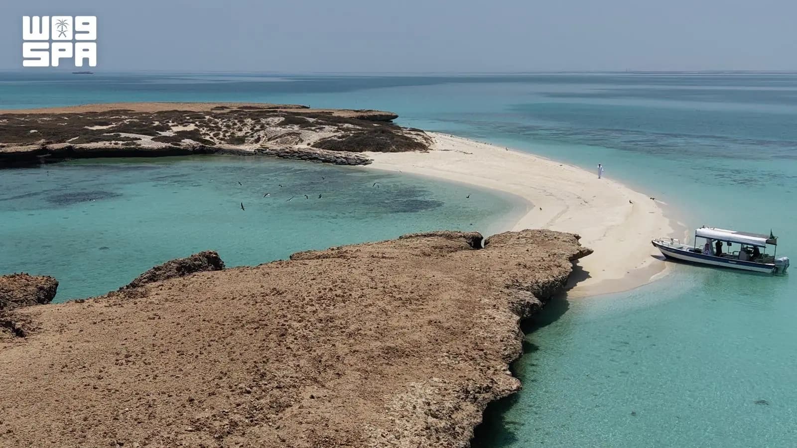 Farasan Islands as a Conservation Icon