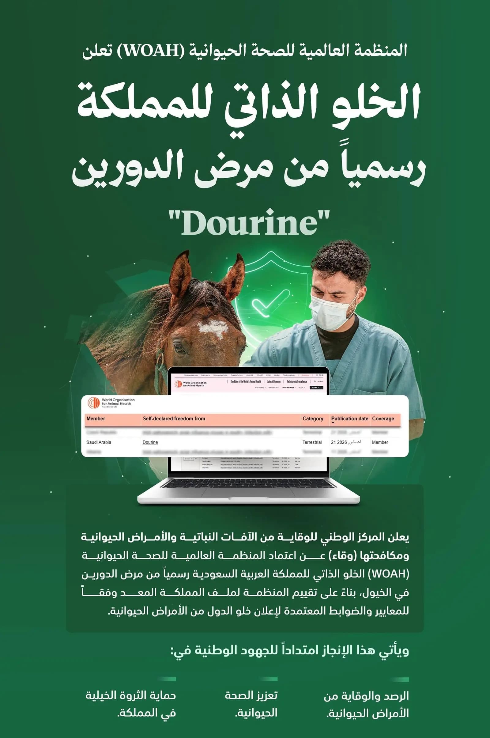 Saudi Arabia declares horse glanders eradicated
