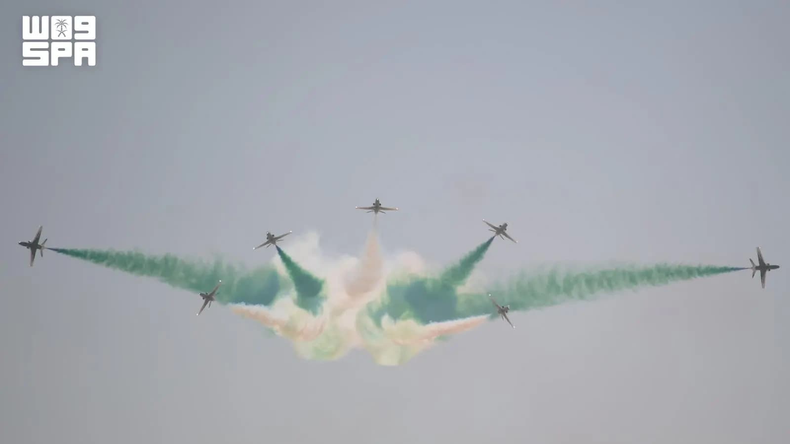 Saudi Falcons showcase at Al-Alamein Exhibition