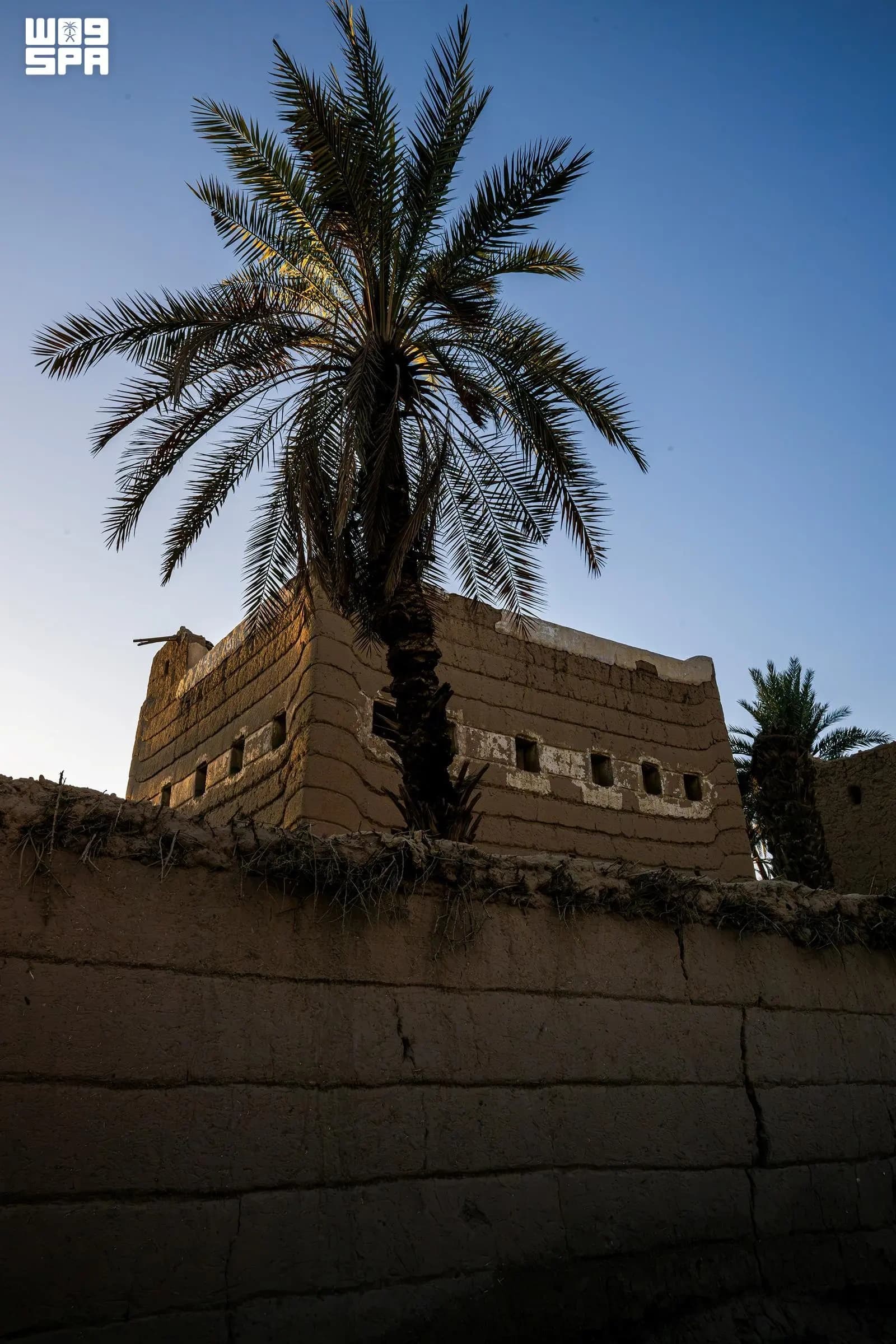 البيوت الطينية والنخيل في نجران