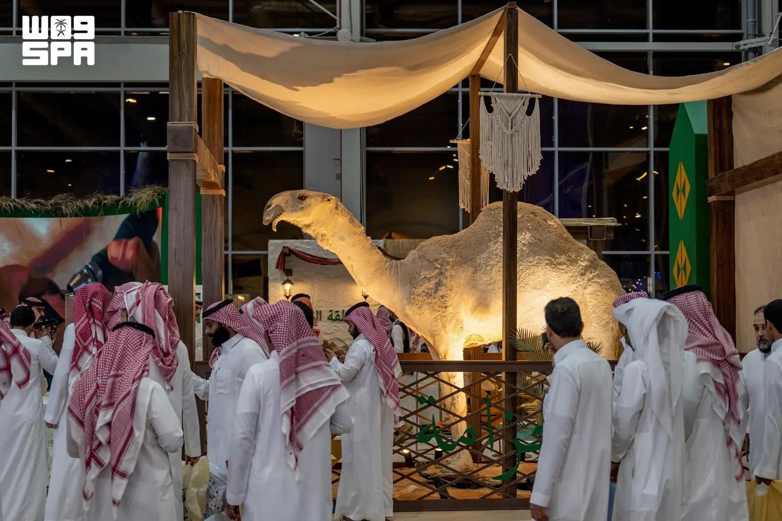 الحياة الفطرية تبرز في معرض الصقور والصيد السعودي 2026
