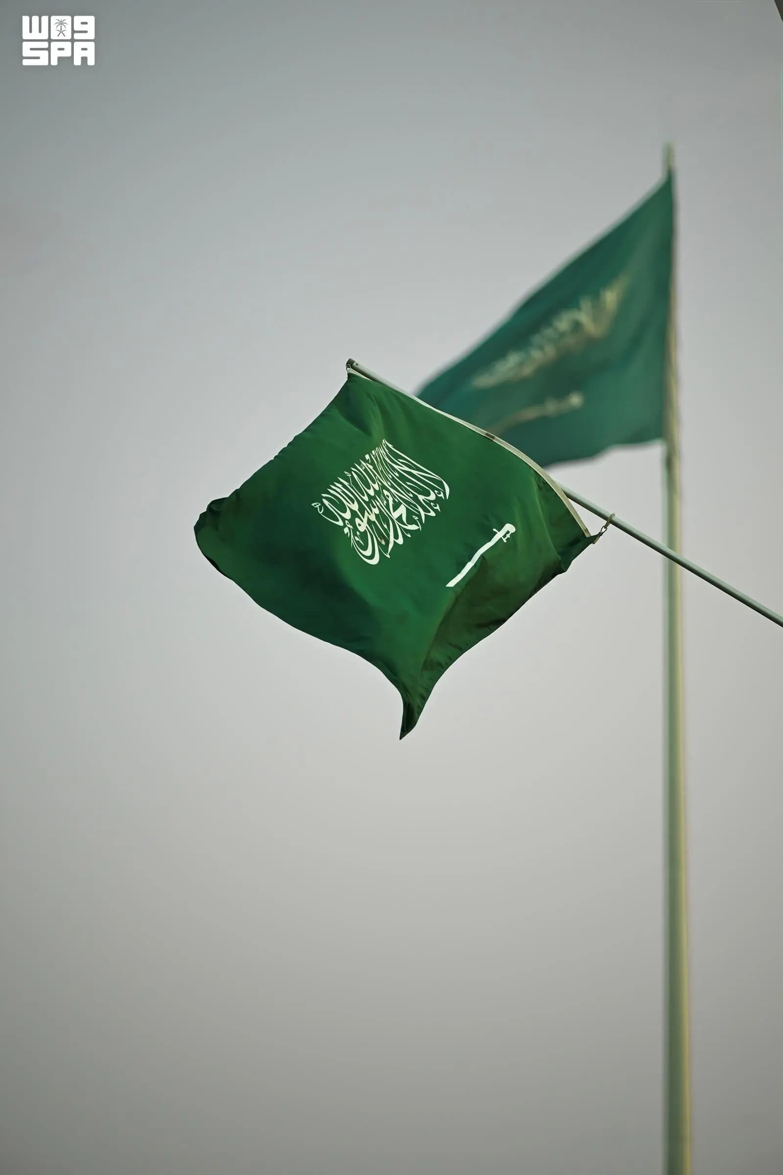 Al-Sharqiyah hosts 70 events for National Day