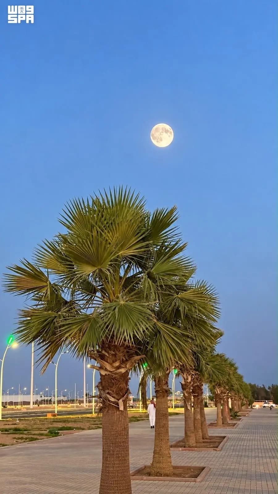 القمر البدر يزين سماء السعودية