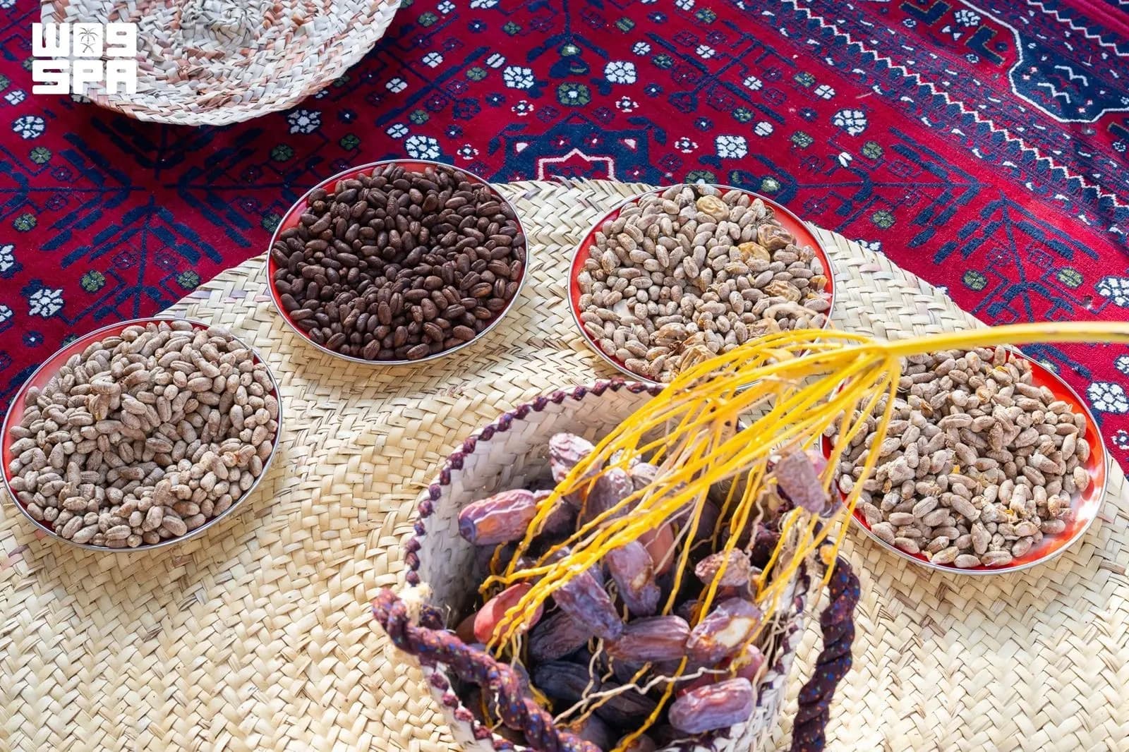 تحول نواة التمر إلى مشروب القهوة