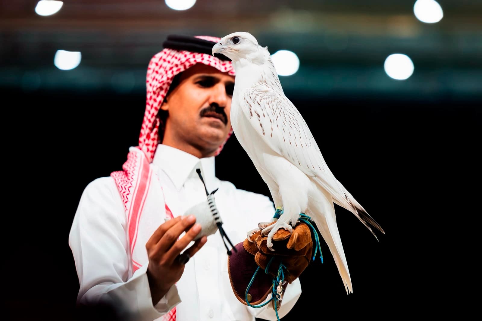 نايف بن سلطان يشتري مثلوث جير لدعم الصقور