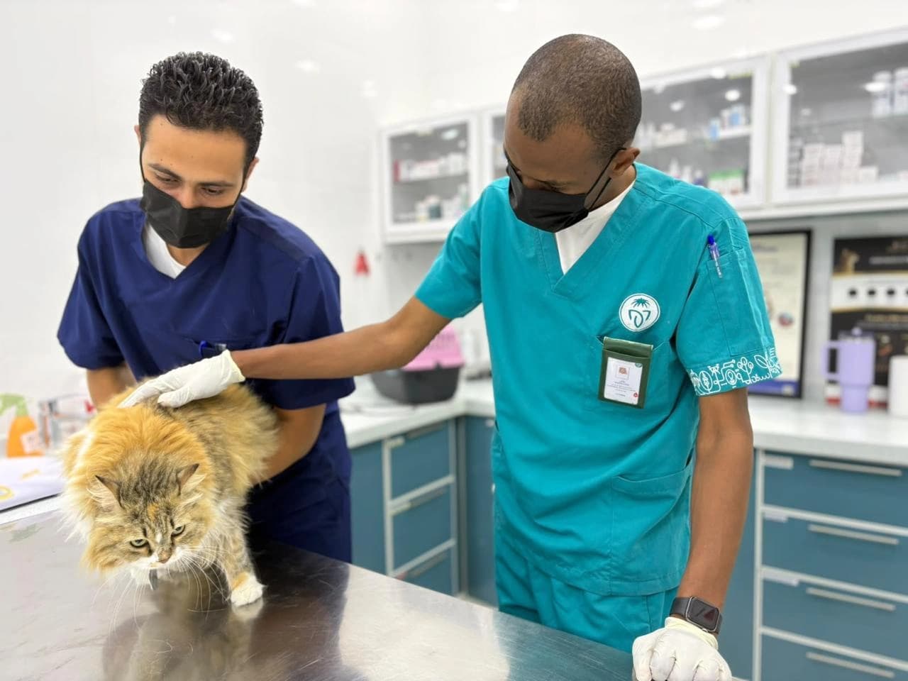 مركز وقاء بمكة يطلق حملة لتطعيم الحيوانات