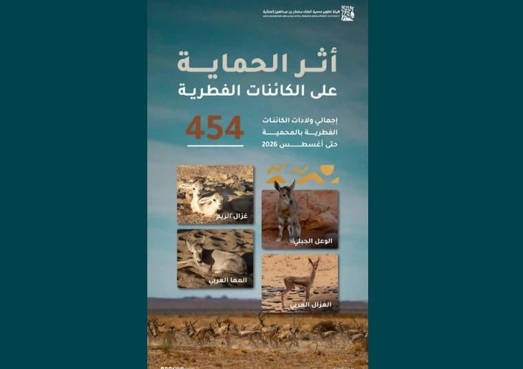 454 ولادة في محمية الملك سلمان