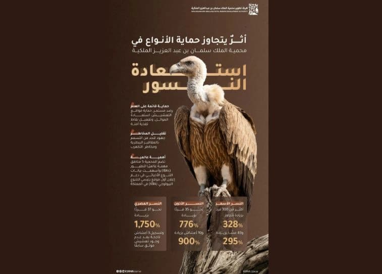 King Salman Reserve Excels in Eagle Conservation