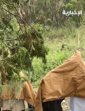 السياح في سودة عسير مع الأمطار والضباب