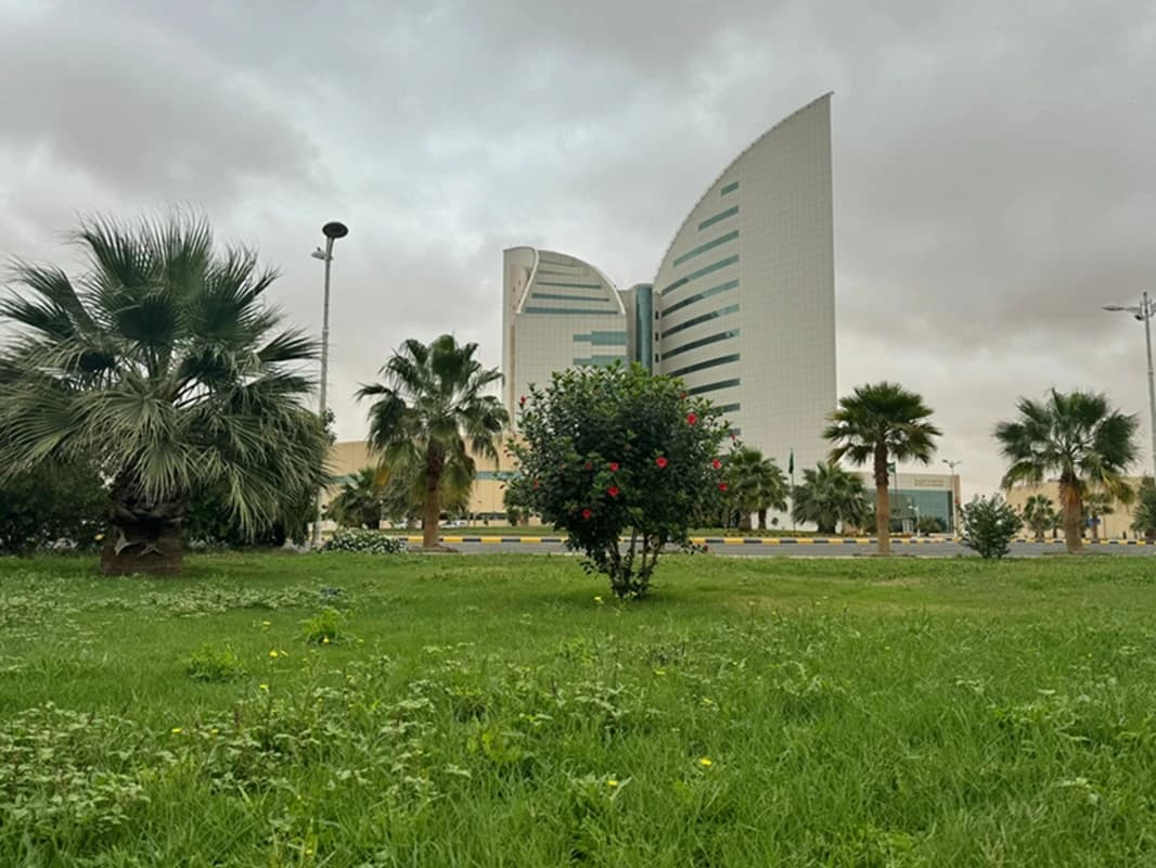 Tabuk University Gets Global Research Grant