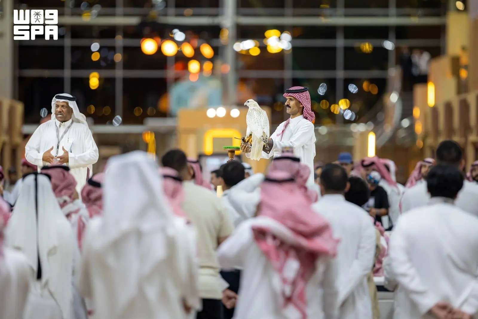 مزاد الصقور الدولي 2026 يربط المبيعات بمنافسات جوائزها تصل 50 مليون ريال